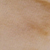Rushita